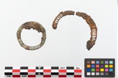 Foto von Bronzering (NHMW-PRAE-023888)